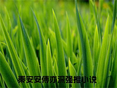 秦安安傅亦深小说完整版在线阅读 秦安安傅亦深精选小说推荐试读