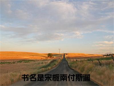 宋栀南付斯渊（宋栀南付斯渊小说）全文免费阅读无弹窗大结局_(宋栀南付斯渊小说免费阅读全文大结局)最新章节列表_笔趣阁（宋栀南付斯渊）