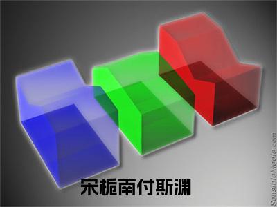 宋栀南付斯渊(宋栀南付斯渊）小说全文免费阅读无弹窗大结局_（宋栀南付斯渊）宋栀南付斯渊小说全文免费阅读最新章节列表笔趣阁（宋栀南付斯渊）