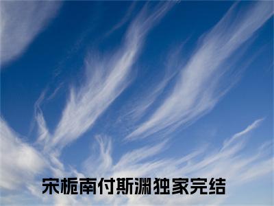 宋栀南付斯渊小说全文免费阅读（宋栀南付斯渊）全文免费阅读无弹窗大结局_(宋栀南付斯渊)宋栀南付斯渊小说免费阅读无弹窗最新章节列表_笔趣阁（宋栀南付斯渊）