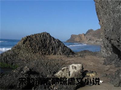 宋韵清沈郁琛小说好看吗-宋韵清沈郁琛热门小说大结局阅读
