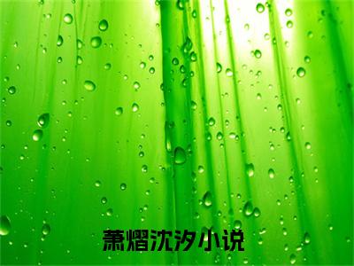 萧熠沈汐（三年后，疯批大佬抱怀诱宠）全文免费阅读无弹窗大结局_（三年后，疯批大佬抱怀诱宠）最新章节