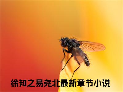 徐知之易尧北（徐知之易尧北 ）全文免费阅读_徐知之易尧北言诺诺，井傅宸 小说最新章节列表笔趣阁