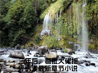 三年后，疯批大佬抱怀诱宠在线阅读（萧熠沈汐小说）全文免费阅读无弹窗大结局_萧熠沈汐免费最新章节列表
