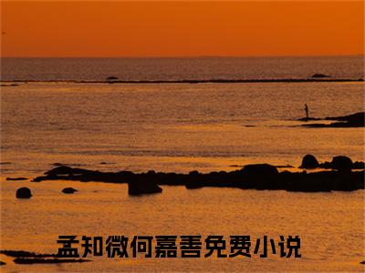 孟知微何嘉善（罐头与玫瑰）小说全文免费阅读-孟知微何嘉善免费阅读完整版