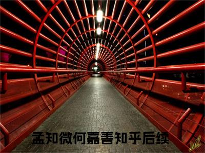 孟知微何嘉善（罐头与玫瑰）全文免费阅读无弹窗大结局_（罐头与玫瑰）免费阅读无弹窗最新章节列表
