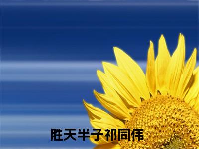 胜天半子祁同伟小说免费阅读 胜天半子祁同伟免费阅读无弹窗小说