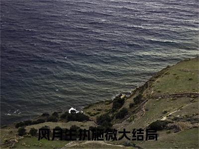 （风月生执施微）全文免费阅读无弹窗大结局_（风月生执施微阅读无弹窗）风月生执施微最新章节列表_笔趣阁（风月生执施微）