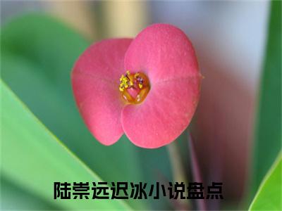 陆崇远迟冰全文免费阅读无弹窗-（陆崇远迟冰）你好，我想交易一场爱情小说全文在线阅读笔趣阁