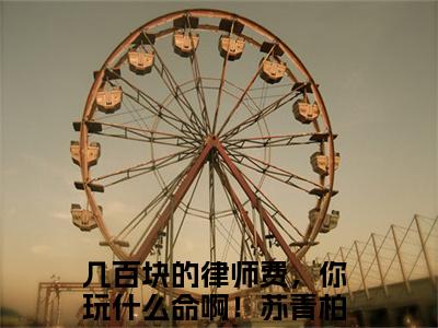 几百块的律师费，你玩什么命啊！苏青柏免费阅读大结局无弹窗-小说推荐几百块的律师费，你玩什么命啊！苏青柏精彩章节在线阅读