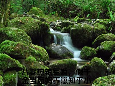 方晓洛沈峥最后结局如何，八零热辣军婚，假千金当后妈养崽强推全文阅读无弹窗