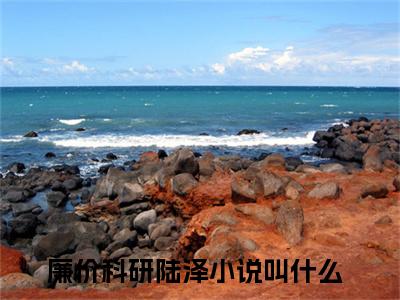 廉价科研陆泽（廉价科研陆泽）全文免费阅读无弹窗大结局_（廉价科研陆泽）廉价科研陆泽最新章节列表_笔趣阁（廉价科研陆泽）