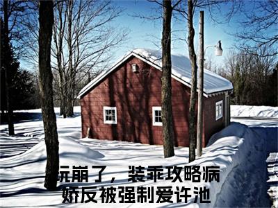 玩崩了，装乖攻略病娇反被强制爱许池（玩崩了，装乖攻略病娇反被强制爱许池）免费阅读无弹窗大结局-玩崩了，装乖攻略病娇反被强制爱许池（最新全章节大结局）全文阅读