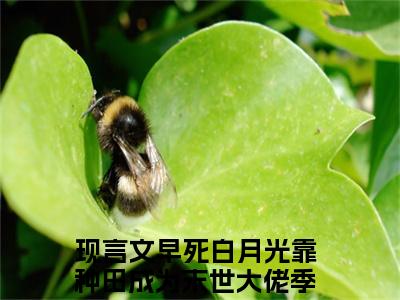 热度超高早死白月光靠种田成为末世大佬季雨泽小说-小说完整版全文资源阅读