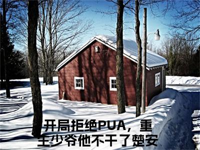 开局拒绝PUA，重生少爷他不干了楚安尘全文免费阅读_开局拒绝PUA，重生少爷他不干了楚安尘（开局拒绝PUA，重生少爷他不干了楚安尘）小说在线阅读最新章节列表笔趣阁