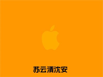 我带着百货大楼回古代捞金赢麻了全文免费阅读大结局-苏云清沈安最新章节列表笔趣阁