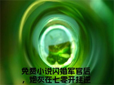 陆长征苏茉（闪婚军官后，炮灰在七零开挂逆袭）免费全文阅读小说_（陆长征苏茉）闪婚军官后，炮灰在七零开挂逆袭最新章节列表-笔趣阁