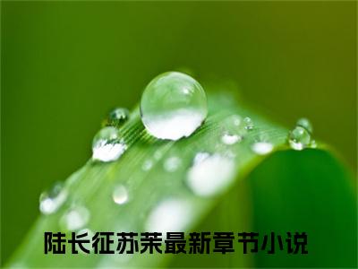 陆长征苏茉（闪婚军官后，炮灰在七零开挂逆袭）全文免费阅读_陆长征苏茉（闪婚军官后，炮灰在七零开挂逆袭）免费在线阅读_笔趣阁