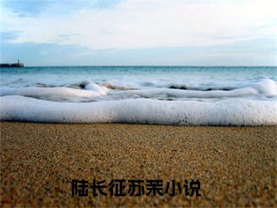 陆长征苏茉美文欣赏完整版，闪婚军官后，炮灰在七零开挂逆袭精彩章节在线阅读