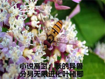 高武：我的异兽分身无限进化叶褚脚（高武：我的异兽分身无限进化叶褚脚）小说全文免费阅读-高武：我的异兽分身无限进化叶褚脚免费阅读完整版
