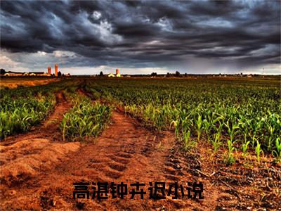 高湛钟卉迟（告白公式）全文完整版免费阅读-主角叫告白公式的小说高湛钟卉迟