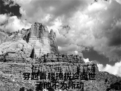 穿越青楼撩拨冷面世子他不为所动精彩小说赏析全文顾瑾霄沈汐玥热门小说免费阅读