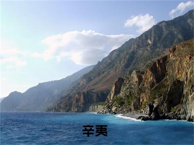 姐姐没长嘴！我只好跑断腿！（辛夷）免费小说-辛夷全文阅读目录