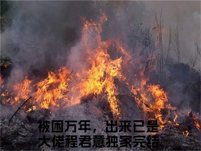 被困万年，出来已是大佬程君意(被困万年，出来已是大佬程君意)全文免费阅读无弹窗大结局_(被困万年，出来已是大佬程君意小说全文大结局)最新章节列表_笔趣阁（被困万年，出来已是大佬程君意）