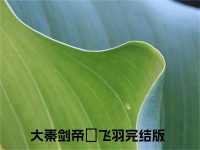 大秦剑帝贏飞羽全文免费阅读无弹窗大结局_（大秦剑帝贏飞羽）完整版全文在线赏析