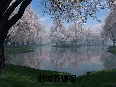 迟域苏迦妮（迟域苏迦妮）小说结局-迟域苏迦妮全文无弹窗阅读