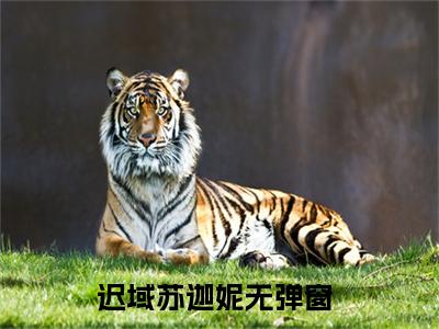 迟域苏迦妮免费阅读无弹窗大结局_(迟域苏迦妮免费阅读)迟域苏迦妮免费阅读无弹窗最新章节列表_笔趣阁