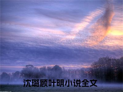 （沈璐顾叶明）暗恋是一场内心的独白无弹窗免费阅读沈璐顾叶明大结局无删阅读_笔趣阁