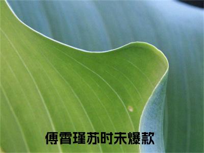 傅霄瑾苏时未小说最后结局(傅霄瑾苏时未)完结版免费阅读