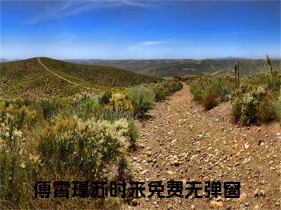 傅霄瑾苏时未小说（傅霄瑾苏时未）热推新书_傅霄瑾苏时未最新章节在线阅读_笔趣阁