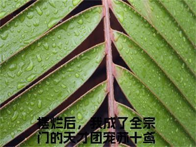摆烂后，我成了全宗门的天才团宠苏十鸢小说全文免费阅读无弹窗大结局-（摆烂后，我成了全宗门的天才团宠苏十鸢免费阅读无弹窗）摆烂后，我成了全宗门的天才团宠苏十鸢最新章节列表笔趣阁