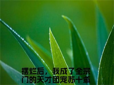 摆烂后，我成了全宗门的天才团宠苏十鸢新出一本好看的小说-摆烂后，我成了全宗门的天才团宠苏十鸢小说免费阅读完整版_笔趣阁（摆烂后，我成了全宗门的天才团宠苏十鸢）