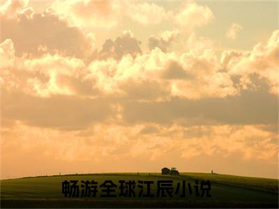 畅游全球江辰小说大结局免费阅读-精彩小说（畅游全球江辰）