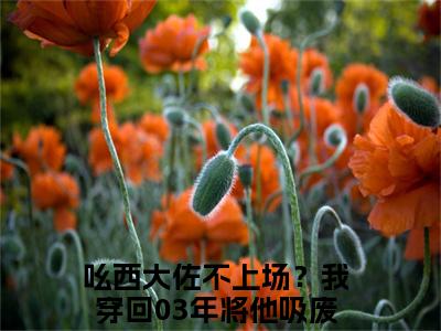 今日书单吆西大佐不上场？我穿回03年将他吸废！夏普最新更新-吆西大佐不上场？我穿回03年将他吸废！夏普全文在线观看