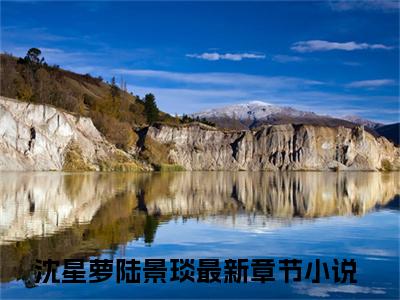 沈星萝陆景琰（沈星萝陆景琰）最新章节免费阅读全文-沈星萝陆景琰完结小说在线阅读