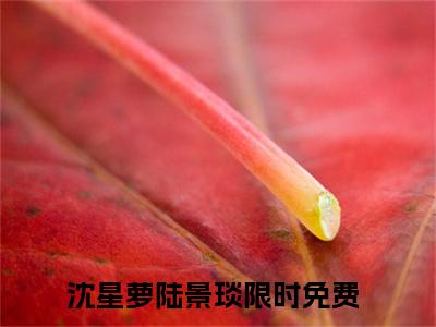 沈星萝陆景琰小说（沈星萝陆景琰）小说全文无删减版在线阅读_沈星萝陆景琰小说最新章节列表