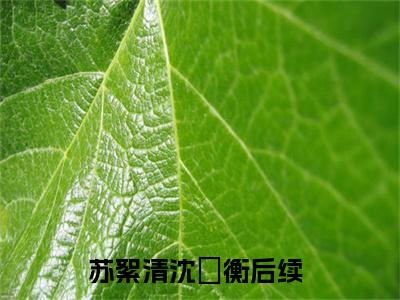 苏絮清沈瑄衡全文小说（重生改嫁纨绔，渣男跪地叫我婶婶）全文阅读-苏絮清沈瑄衡在线小说免费阅读