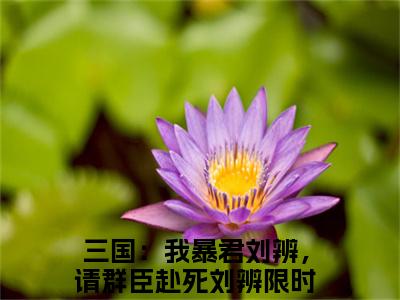 三国：我暴君刘辨，请群臣赴死刘辨小说全文免费阅读-（三国：我暴君刘辨，请群臣赴死刘辨）抖音新书热荐三国：我暴君刘辨，请群臣赴死刘辨全文免费阅读