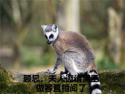 顾总，夫人邀请冥王做客直播间了（苏黎）小说全文免费阅读_顾总，夫人邀请冥王做客直播间了最新章节小说免费阅读_笔趣阁苏黎