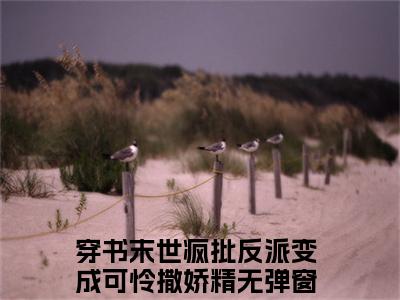 祭渊南茶（穿书末世疯批反派变成可怜撒娇精）小说全文免费阅读无弹窗大结局_祭渊南茶最新章节列表笔趣阁