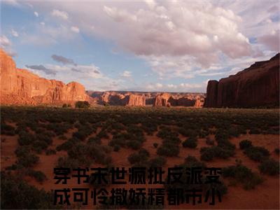 （祭渊南茶）穿书末世疯批反派变成可怜撒娇精小说推荐阅读-主角为穿书末世疯批反派变成可怜撒娇精的小说叫什么祭渊南茶