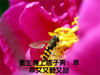 姜拧是什么小说-重生缠上痞子男：乖乖女又野又甜免费小说在线阅读