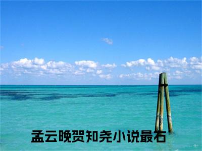 孟云晚贺知尧（孟云晚贺知尧）全文免费阅读无弹窗大结局_孟云晚贺知尧最新章节列表_笔趣阁