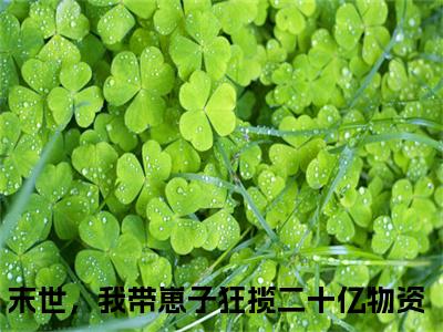 萧玖陆六六（末世，我带崽子狂揽二十亿物资）免费阅读无弹窗大结局_萧玖陆六六小说（末世，我带崽子狂揽二十亿物资）免费阅读最新章节列表