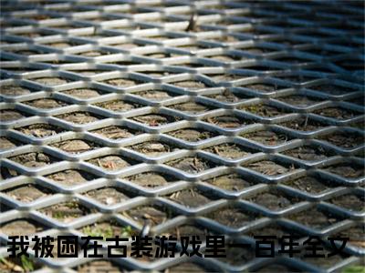 我被困在古装游戏里一百年（苏小桃）小说全文免费阅读无弹窗-我被困在古装游戏里一百年小说全文免费阅读最新章节列表笔趣阁（苏小桃）