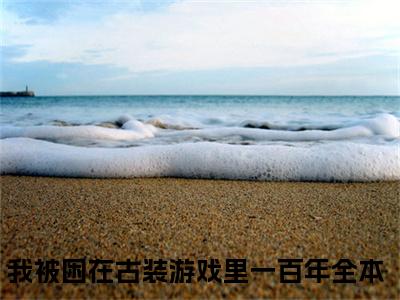 主角是我被困在古装游戏里一百年的小说-苏小桃全章节在线阅读